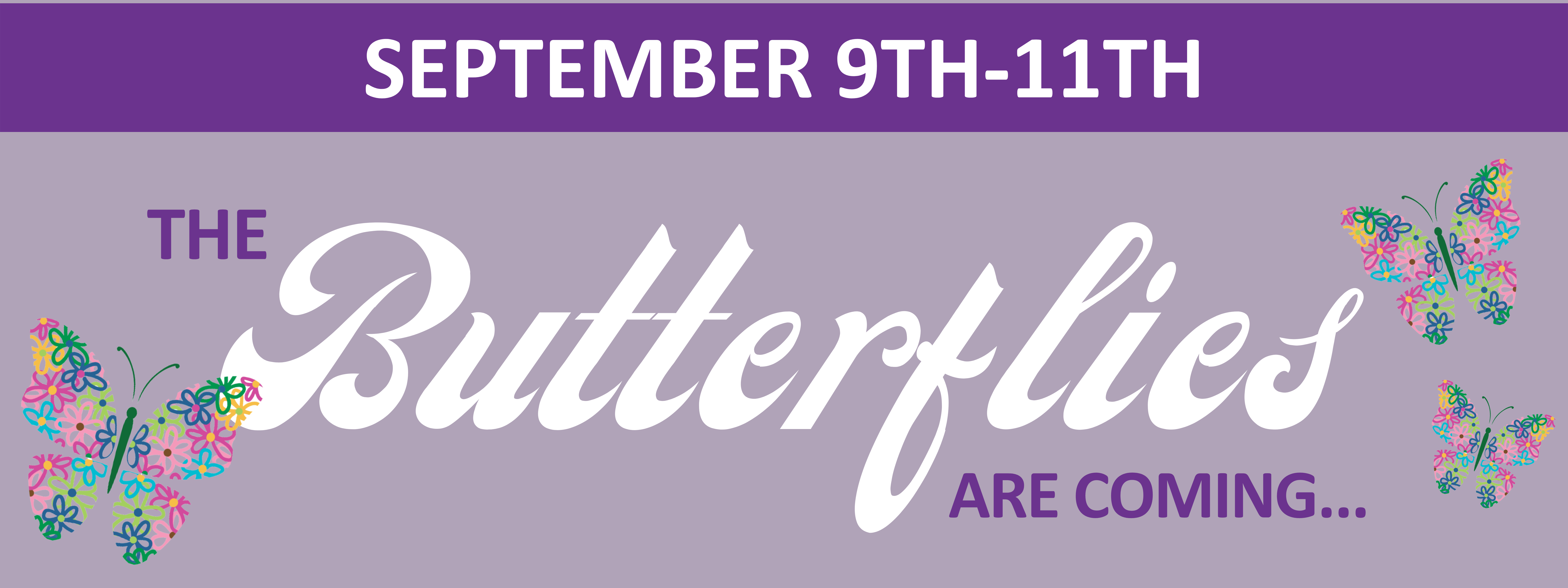 Butterfly Experience 2022